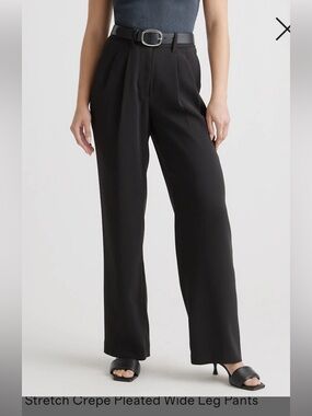 Quince Stretch Crepe Pleated Wide Leg Pant Size 6/ 32in inseam, Black